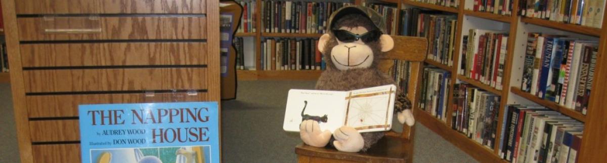 Stuffed animal toy holding children's book in front of bookshelves